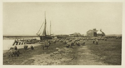 Blackshore, River Blythe (Suffolk) von Peter Henry Emerson