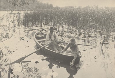 Wasserlilien sammeln, 1886 von Peter Henry Emerson