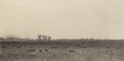 Sümpfe an der Nordsee, 1890-1891, gedruckt 1893 von Peter Henry Emerson