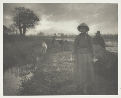 Heu im Sumpf polen von Peter Henry Emerson
