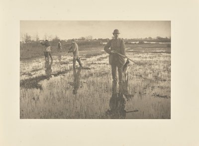 Schnepfenjagd von Peter Henry Emerson