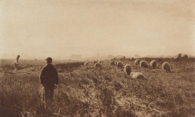 Die Marschen im Juni von Peter Henry Emerson
