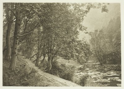 Der Pfad über den ersten Hügel, Dove Dale von Peter Henry Emerson