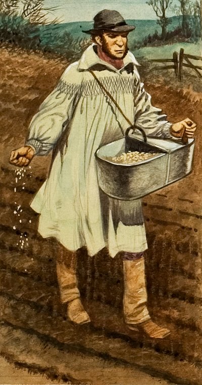 Aussaat von Peter Jackson