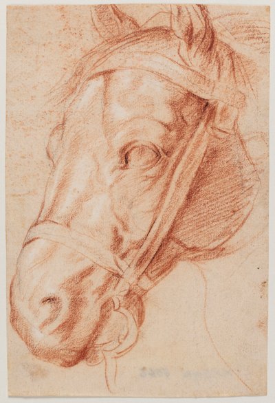  von Peter Paul Rubens