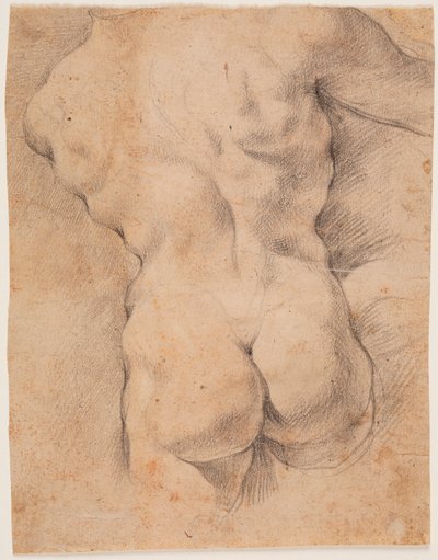  von Peter Paul Rubens