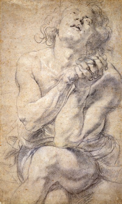 Sitzender männlicher Jugendlicher (Studie für Daniel) von Peter Paul Rubens