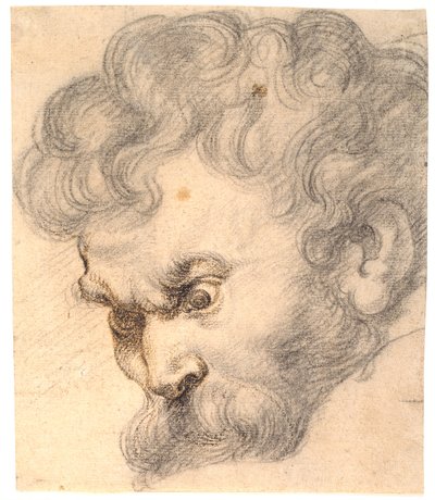  von Peter Paul Rubens