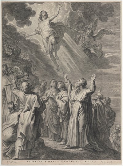  von Peter Paul Rubens