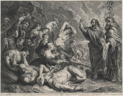 von Peter Paul Rubens