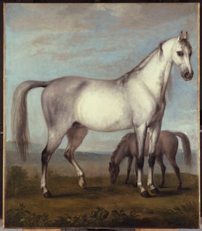 Eine graue Stute und ein Fohlen in einer weiten hügeligen Landschaft von Peter Tillemans