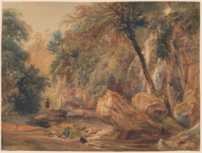 Wasserfall im Dingle bei Badger Hall von Peter de Wint
