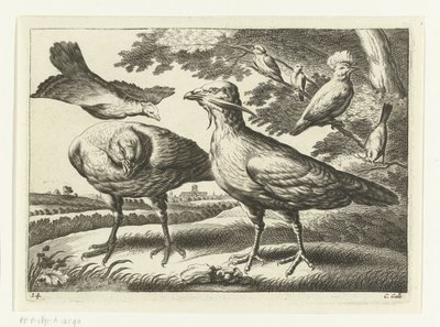 Trappgänse und ein Kakadu (Verschiedene Vögel, Serie) von Peter van Liesebetten