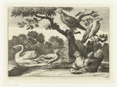 Schwan, Henne mit Küken und andere Vögel von Peter van Liesebetten