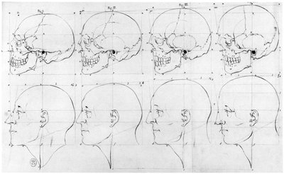 Übergang vom Affen zu Apollo, Illustration aus 