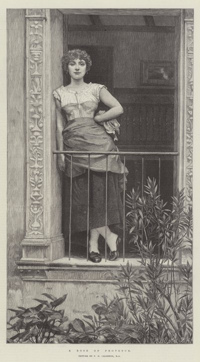 Eine Rose der Provence von Philip Hermogenes Calderon