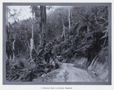 Eine Bergstraße in Süd-Gippsland von Photographer Australian