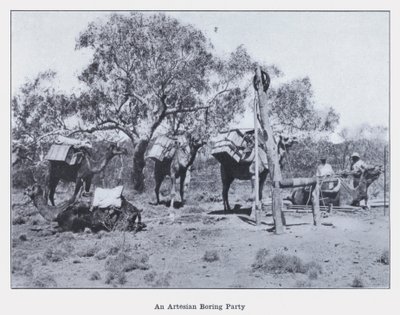 Eine artesische Bohrgruppe von Photographer Australian