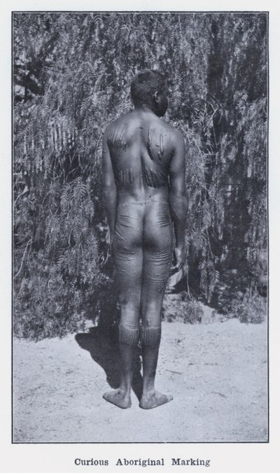 Neugierige Aborigine-Markierung von Photographer Australian