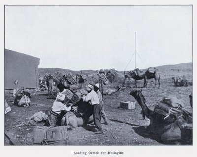 Beladen von Kamelen für Nullagine von Photographer Australian