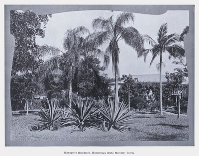 Managerresidenz, Kamerunga State Nursery, Cairns (s/w Foto) von Photographer Australian