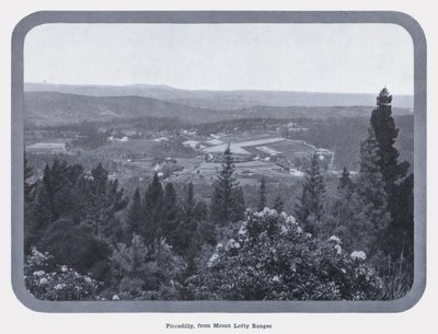 Piccadilly, von den Mount Lofty Ranges von Photographer Australian