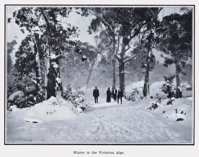 Winter in den Viktorianischen Alpen von Photographer Australian