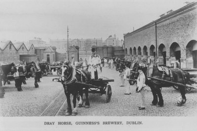 Brauereipferd, Guinness-Brauerei, Dublin, Irland von Photographer Irish