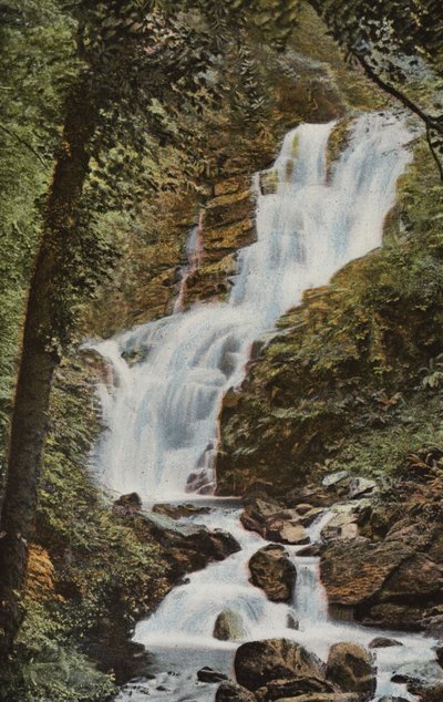 Südirland: Torc-Wasserfall, Killarney von Photographer Irish