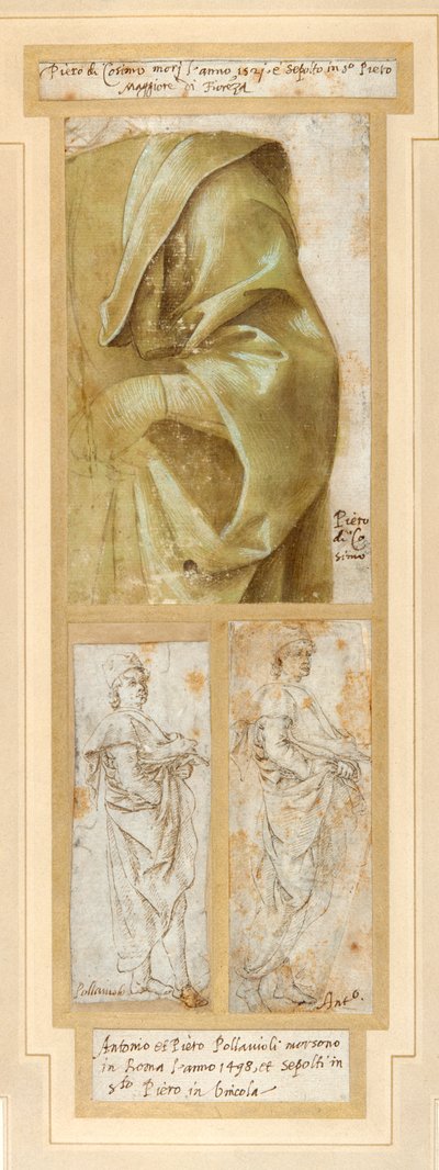 Ein stark drapiertes linkes Arm und Schulter eines Mannes von Piero di Cosimo