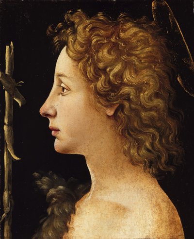 Der junge Heilige Johannes der Täufer (ca. 1480-82) von Piero di Cosimo