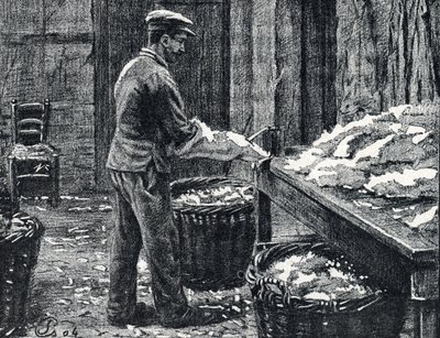 Leder: Spalten von Kaninchenfellen zur Lederherstellung, Gravur aus "Excursion à travers les métiers" von Pierre Calmette, Privatsammlung von Pierre Calmettes