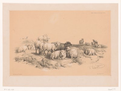 Studie einer Schafherde von Pierre Frédéric Lehnert