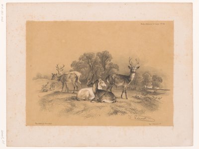 Studie eines Rudels Rothirsche von Pierre Frédéric Lehnert