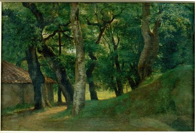 Wald der Villa Borghese von Pierre Henri de Valenciennes