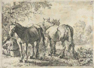 Drei Pferde und ein Bauer von Pieter Bodding van Laer
