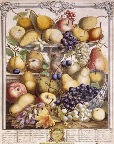 November 1732, zeigt saisonale Äpfel, Birnen, Trauben usw., 1732 von Pieter Casteels
