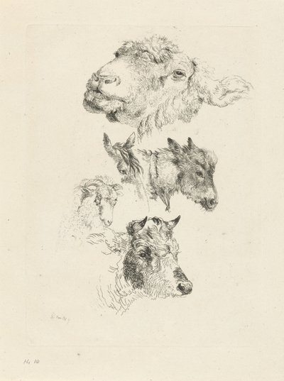 Studienblatt mit Schaf-, Pferde-, Esel-, Widder- und Stierköpfen von Pieter Gerardus van Os