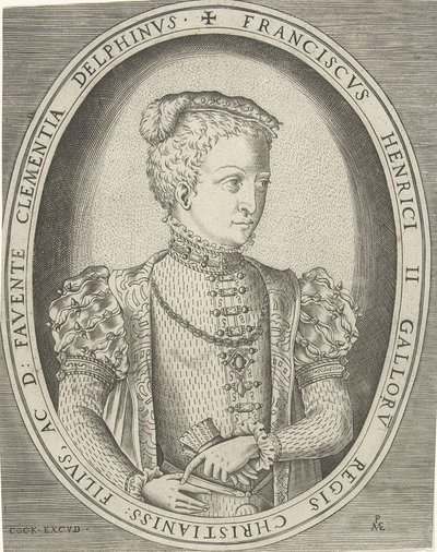 Porträt von Franz II. von Frankreich 1544-1560 von Pieter Heyden van der