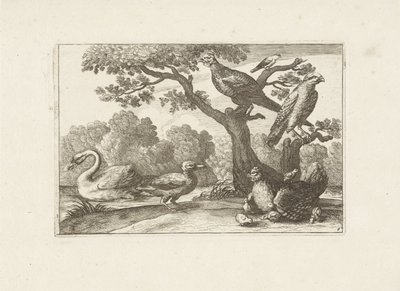 Huhn mit Küken und anderen Vögeln von Pieter Schenk (I) (attributed to)