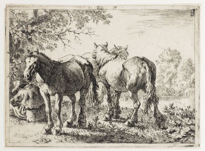 Drei Pferde auf einer Weide von Pieter van Laer