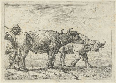 Zwei Büffel und ein Hirte von Pieter van Laer