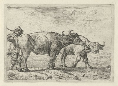 Zwei Büffel und ein Hirte von Pieter van Laer