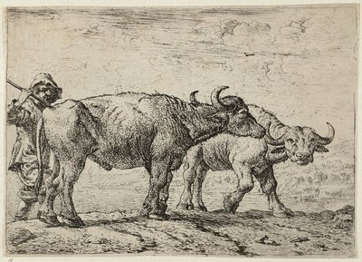 Zwei Büffel und ein Hirte von Pieter van Laer