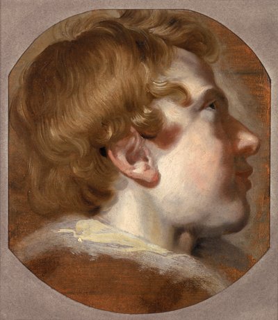 Kopf eines jungen Jungen, ca. 1620er von Pieter van Mol