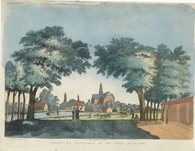 Blick auf Haarlem von Overveen von Pieter van der Meulen