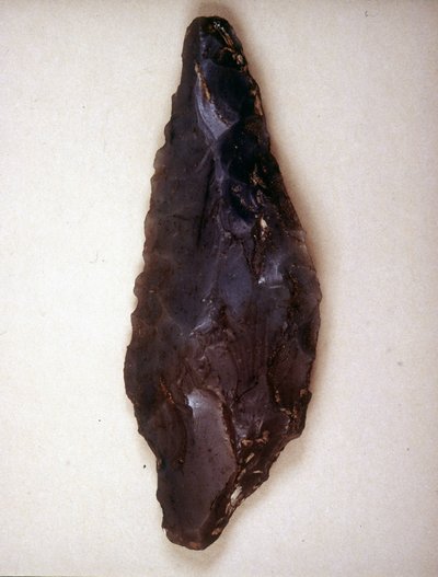 Pfeilspitzen aus Feuerstein. Varese. Archäologisches Museum von Mailand von Prehistoric Prehistoric