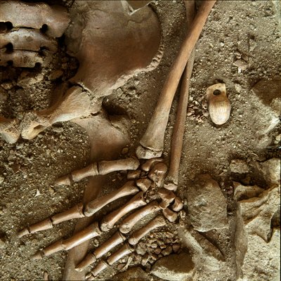 Prähistorisch: Jugendschmuck. Detailansicht des Grabbeigaben aus der Höhle von Candid Arene (Finale Ligure), Ligurien. Oberes Paläolithikum, 24000 v. Chr. Genua, Museo di Archeologia Ligure von Prehistoric Prehistoric