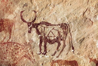 Felsmalerei: Darstellung eines Hirsches. Höhle von Tadrart Acacus, Libyen von Prehistoric Prehistoric