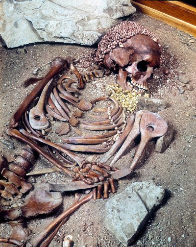 Grab des Oberen Paläolithikums. Skelett der Combe Capelle Ethnie, gefunden in der Höhle von Arene Candide, bekannt als der „junge Prinz“, in Ligurien. 16610 Jahre v. Chr. von Prehistoric Prehistoric